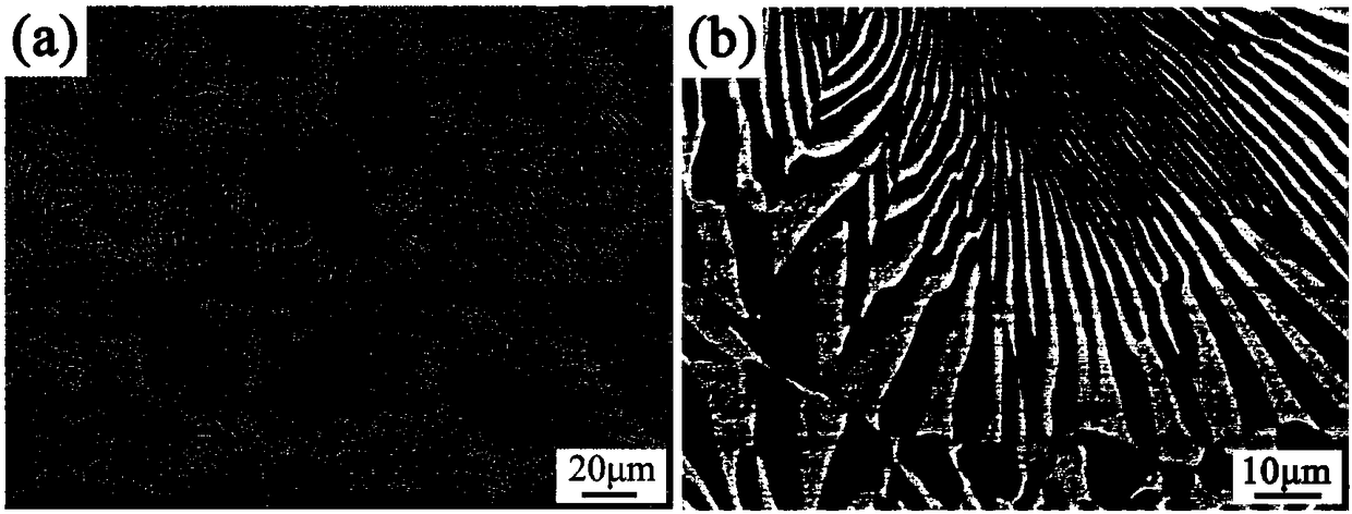 Nickel-aluminum-chromium-molybdenum-iron eutectic alloy and preparation method thereof