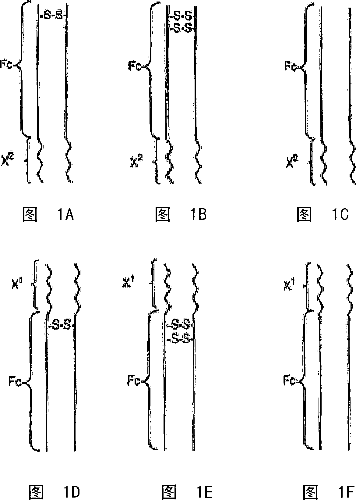 Toxin peptides with extended blood halflife