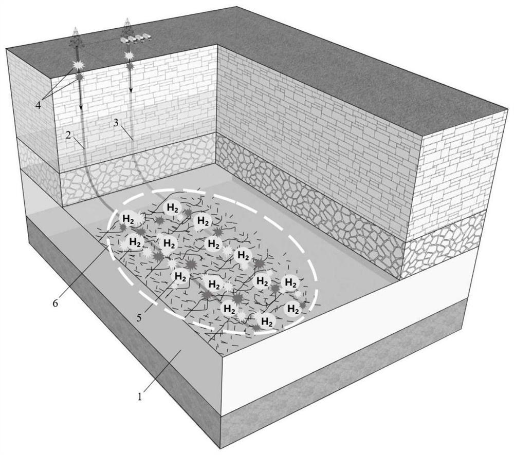 A bio-high temperature gasification combined mining method for hydrogen production from coal