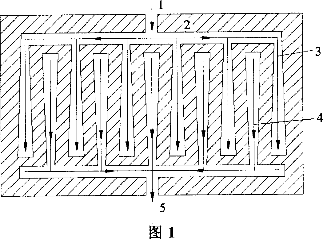 Proton exchange membrane fuel cell interdigited parallel combined flow field