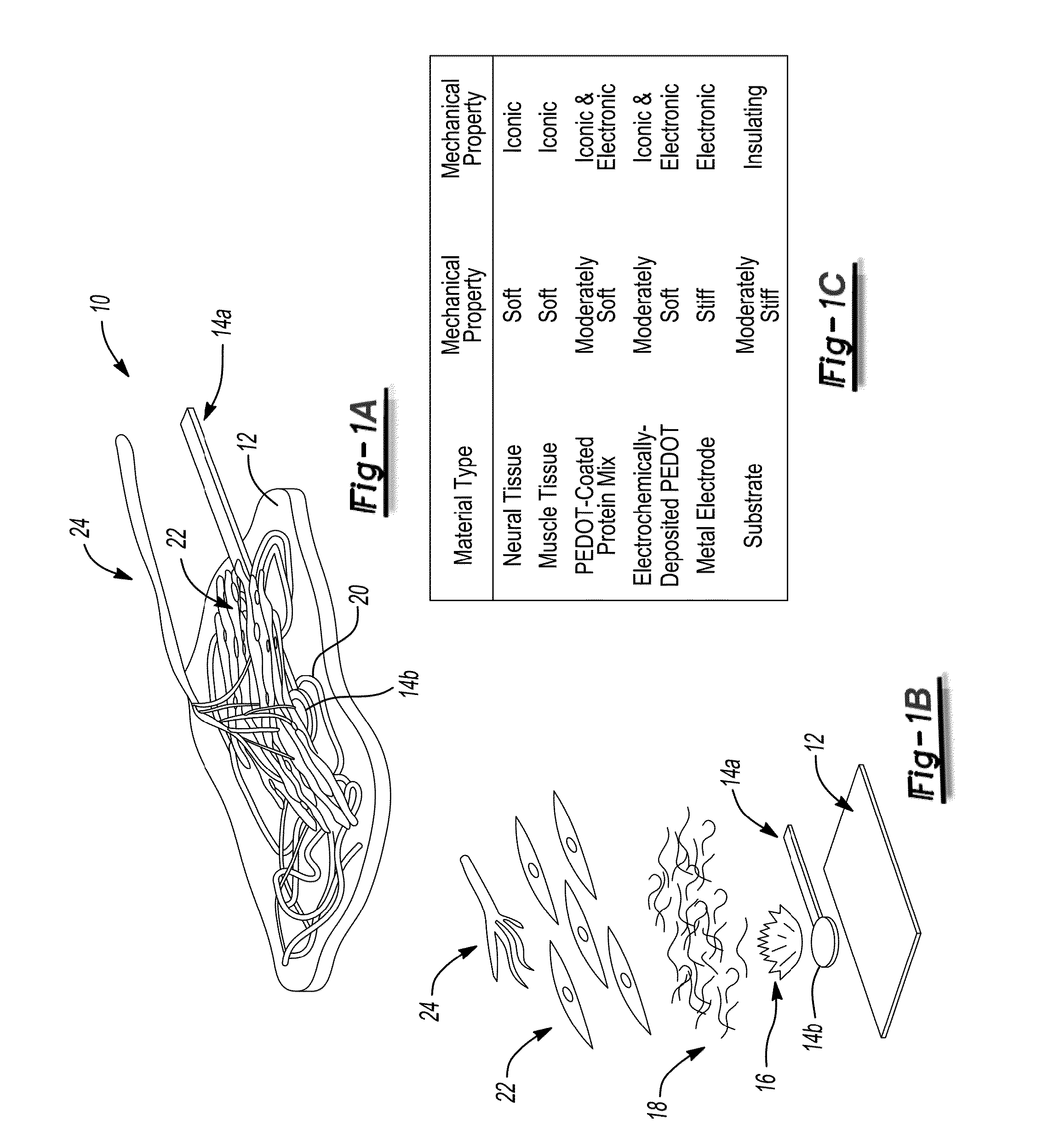 Peripheral nerve interface devices for treatment and prevention of neuromas