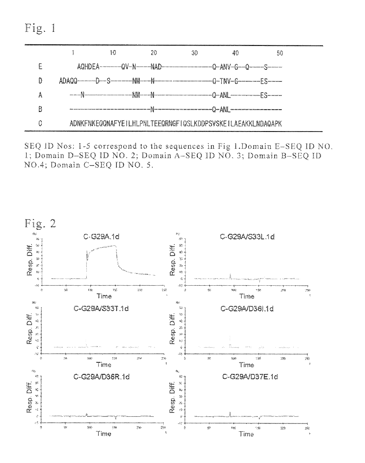 Protein capable of binding specifically to immunoglobulin, and immunoglobulin-binding affinity ligand