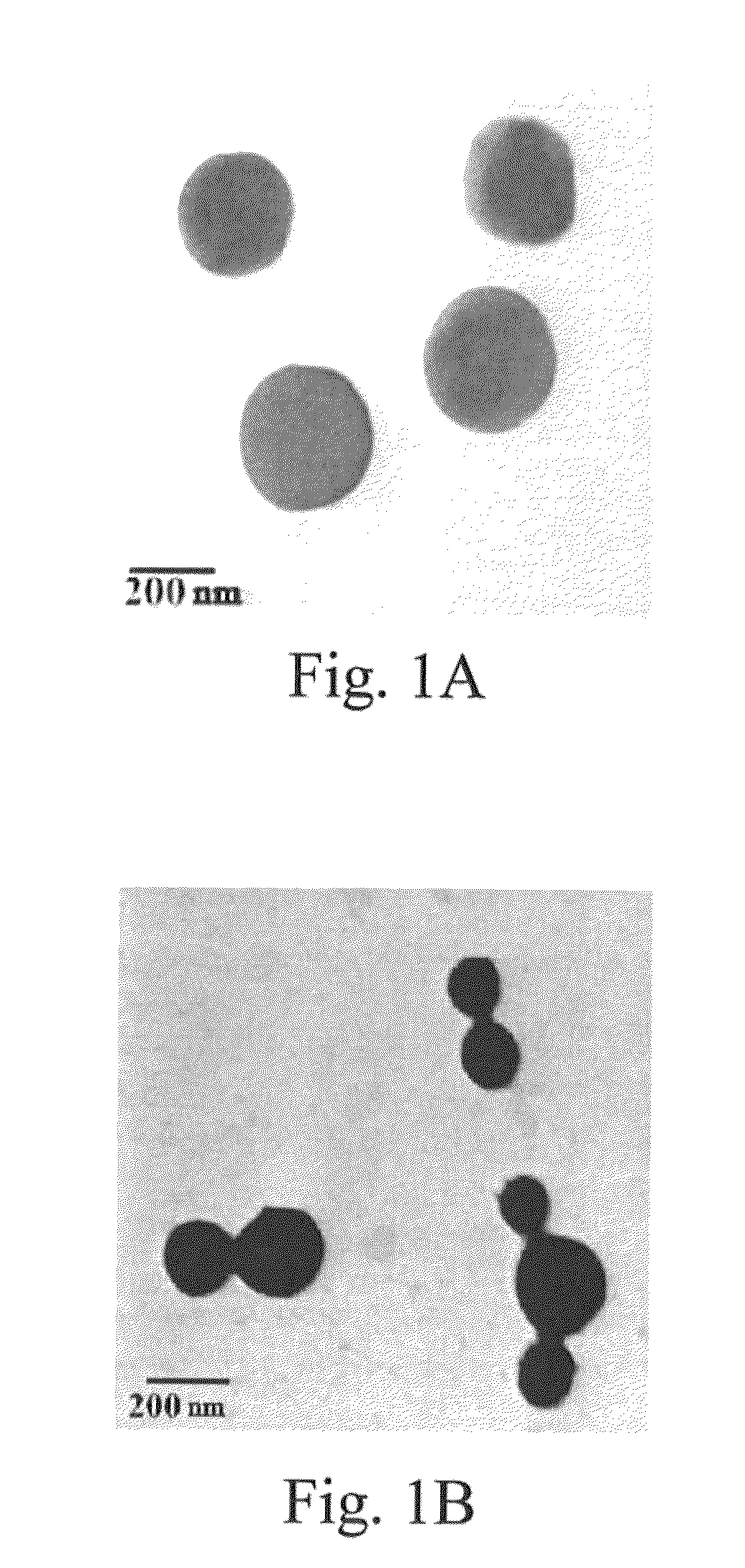 Method for reducing radio-resistance of prostate cancer cells and/or treating prostate cancer