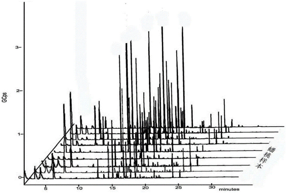 Fresh-scent flat peach essence as well as preparation method and application thereof