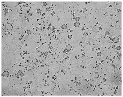 High-fiber and low-fat cream with immunoregulation function and preparation method thereof