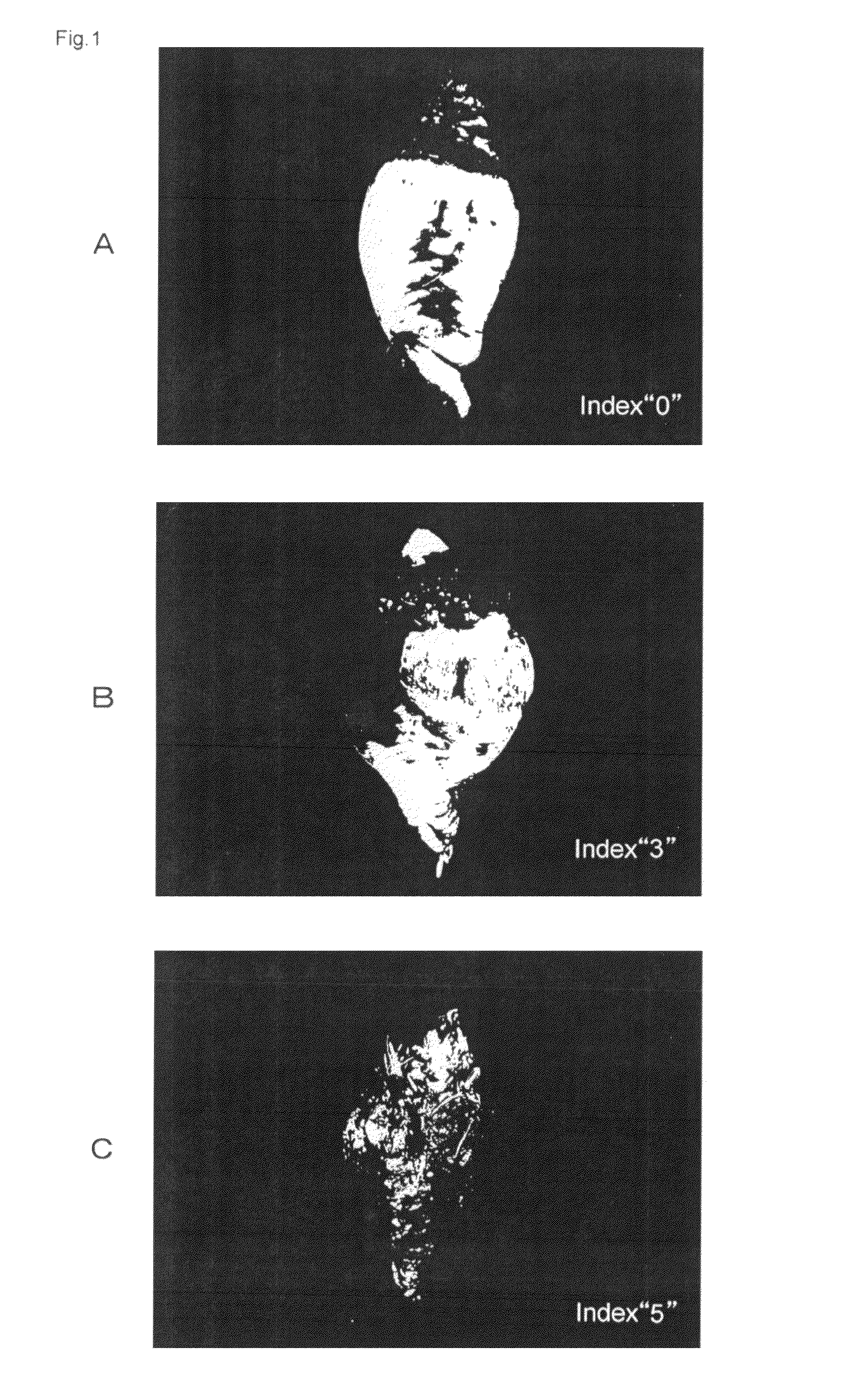 Marker for selecting an <i>aphanomyces cochlioides</i>-resistant variety and selection method therefor