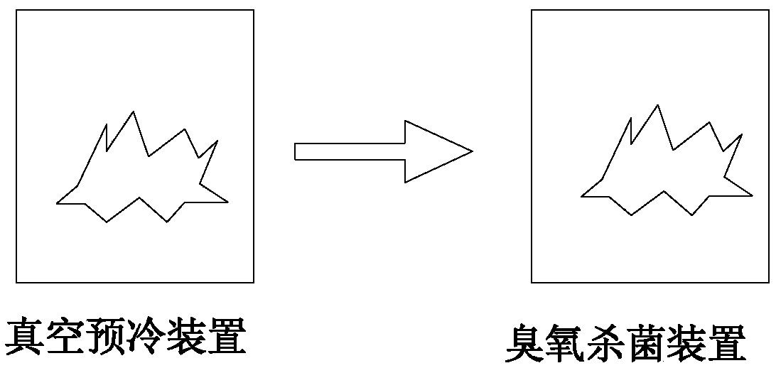 Fruit and vegetable vacuum precooling, sterilizing and fresh keeping synergy device and application method thereof