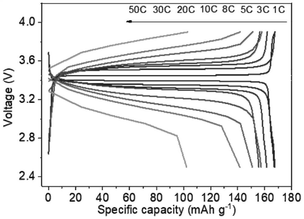 Polymer electrolyte, preparation method thereof and application of polymer electrolyte in wide-temperature-range and high-rate solid-state lithium battery