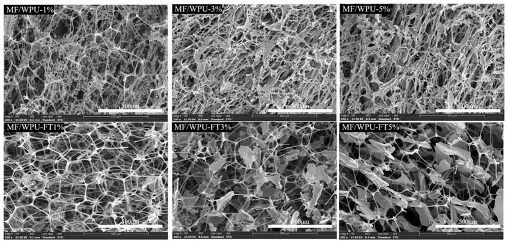 A kind of composite foam with hierarchical porous structure and its preparation method and use