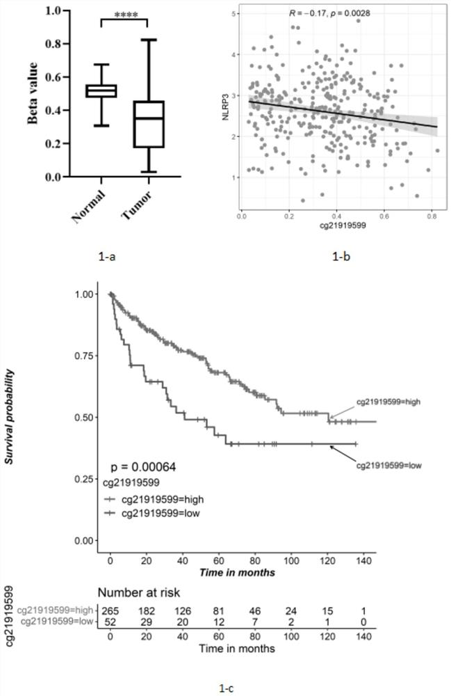 Detection primer composition for NLRP3 promoter methylation, application and detection method