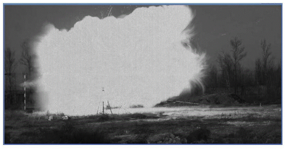 Transient Flame Detection Method Based on Image Processing