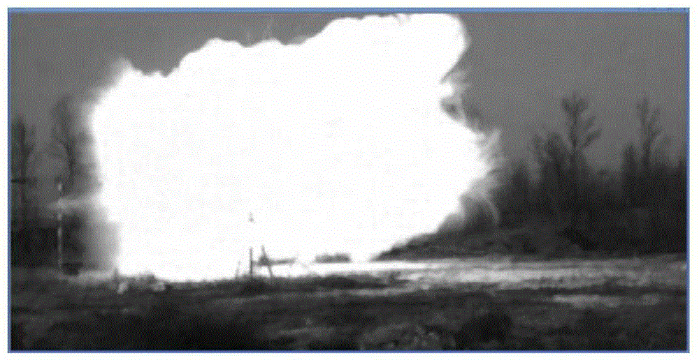 Transient Flame Detection Method Based on Image Processing