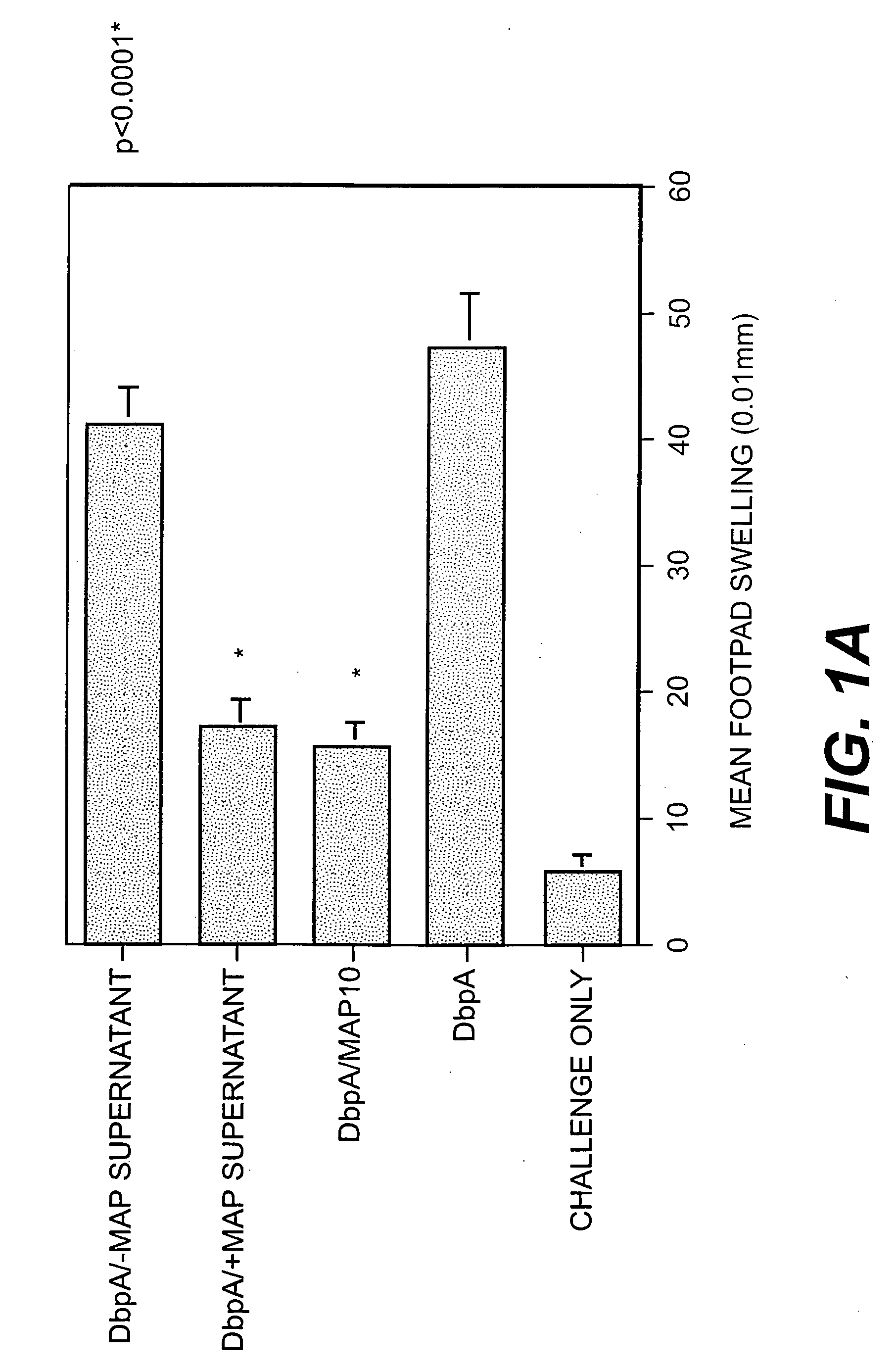 Method of preventing T cell-mediated responses by the use of the major histocompatibility complex class II analog protein (map protein) from Staphylococcus aureus