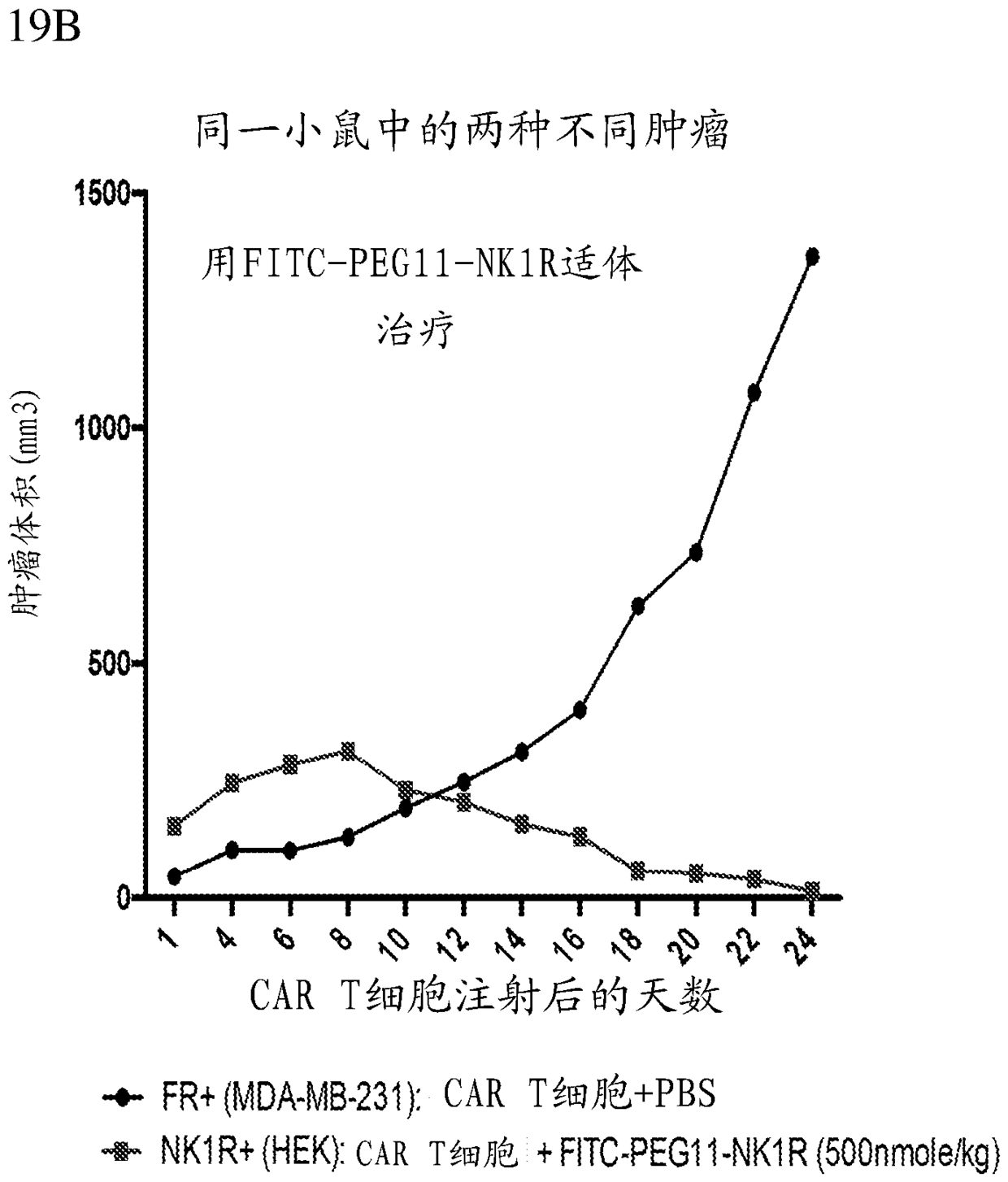 Methods and compositions for CAR T cell therapy