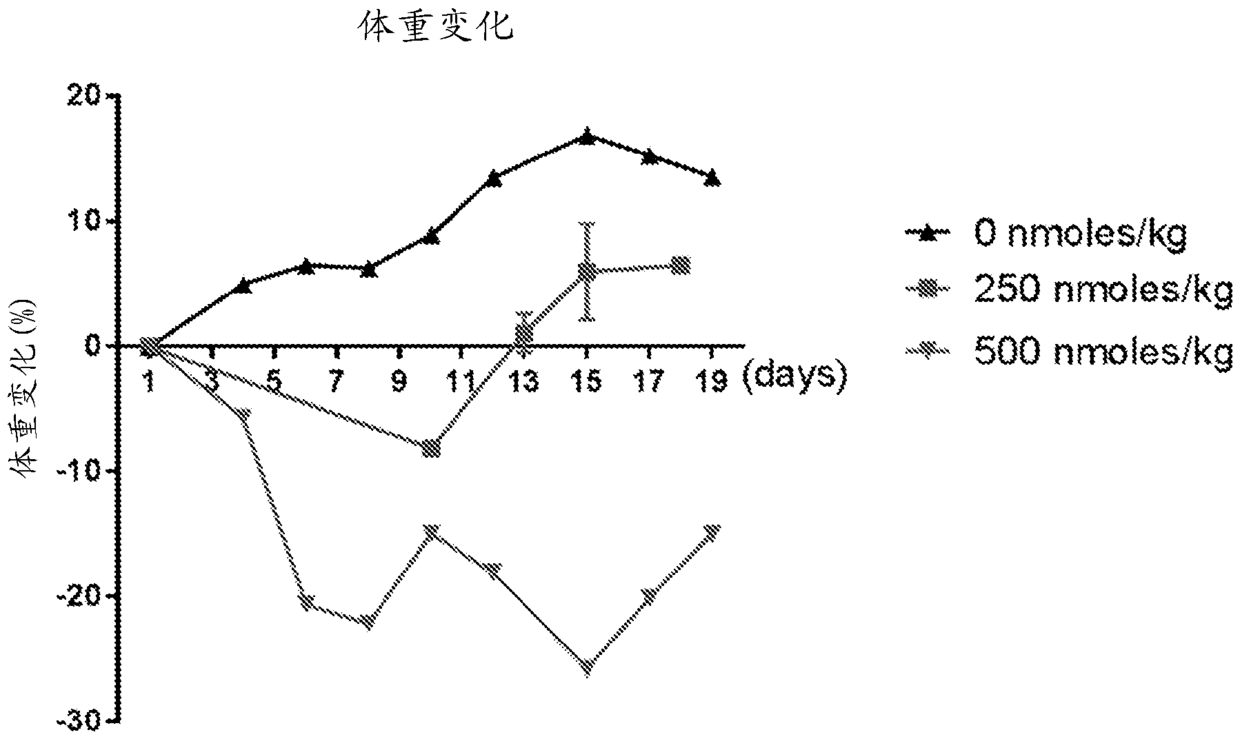 Methods and compositions for CAR T cell therapy