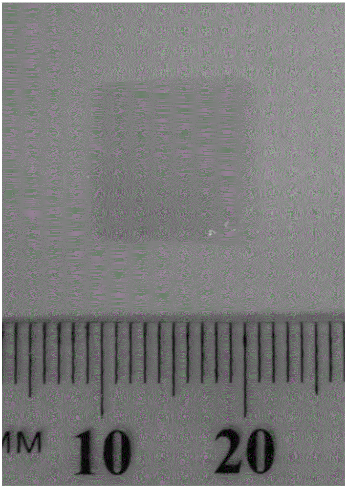 Biologic patch material for cardiac repair