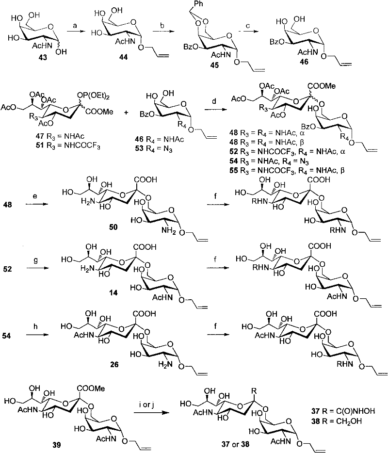 Sialic acid (α-(2→6))-d-pyranose derivative and its synthesis method and application