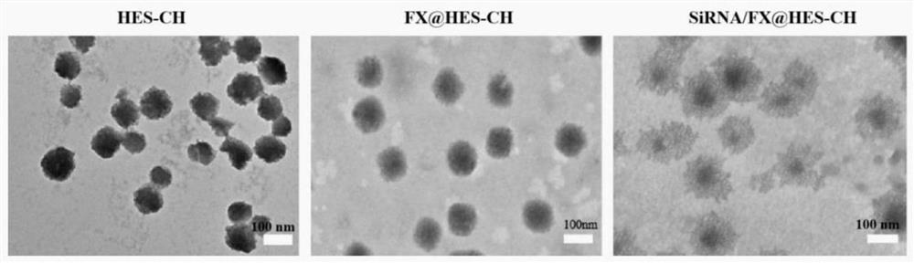 Nano drug delivery system for co-entrapping siRNA and hydrophobic drug, and preparation method and application thereof