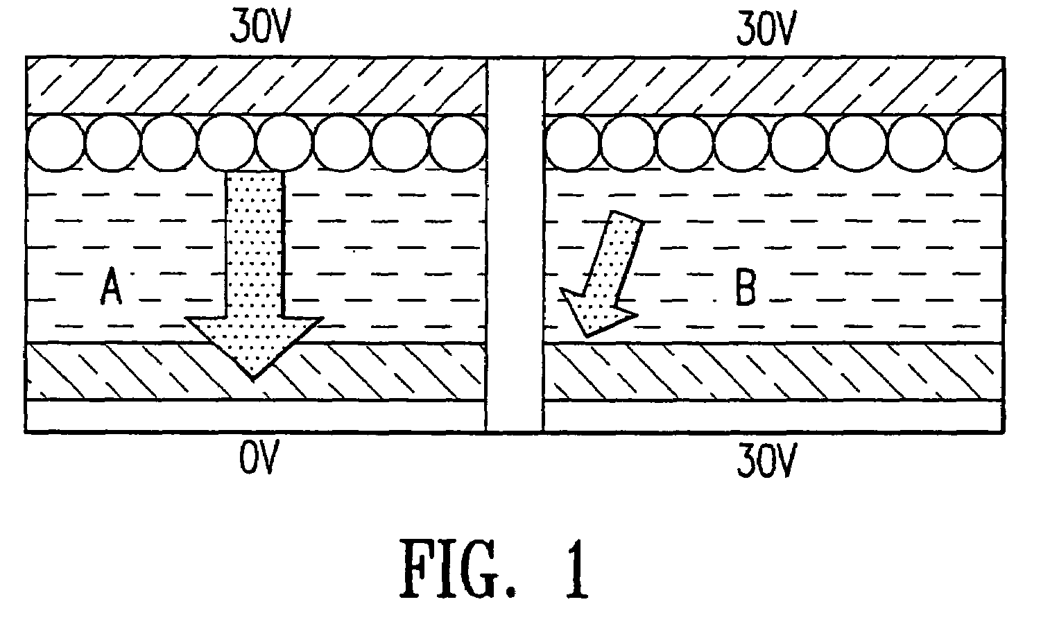 Electro-magnetophoresis display