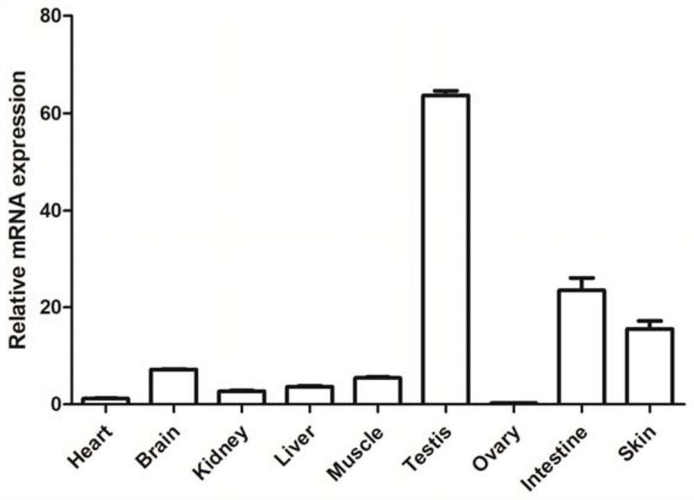 A method of improving fish anti-virus immunity