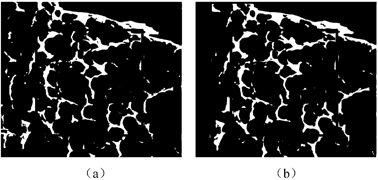 Rapid correction method of scanning electron microscope image drift