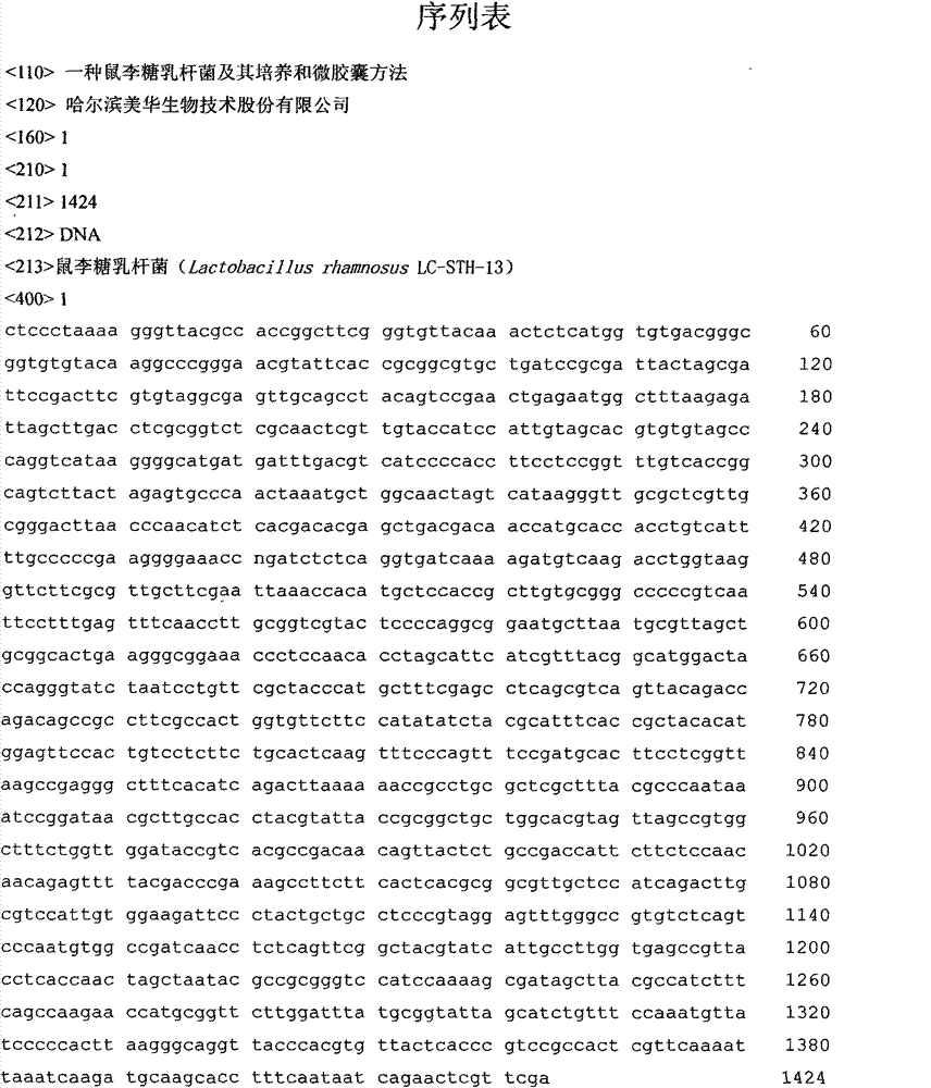 Lactobacillus rhamnosus, cultivation of lactobacillus rhamnosus and microcapsule method