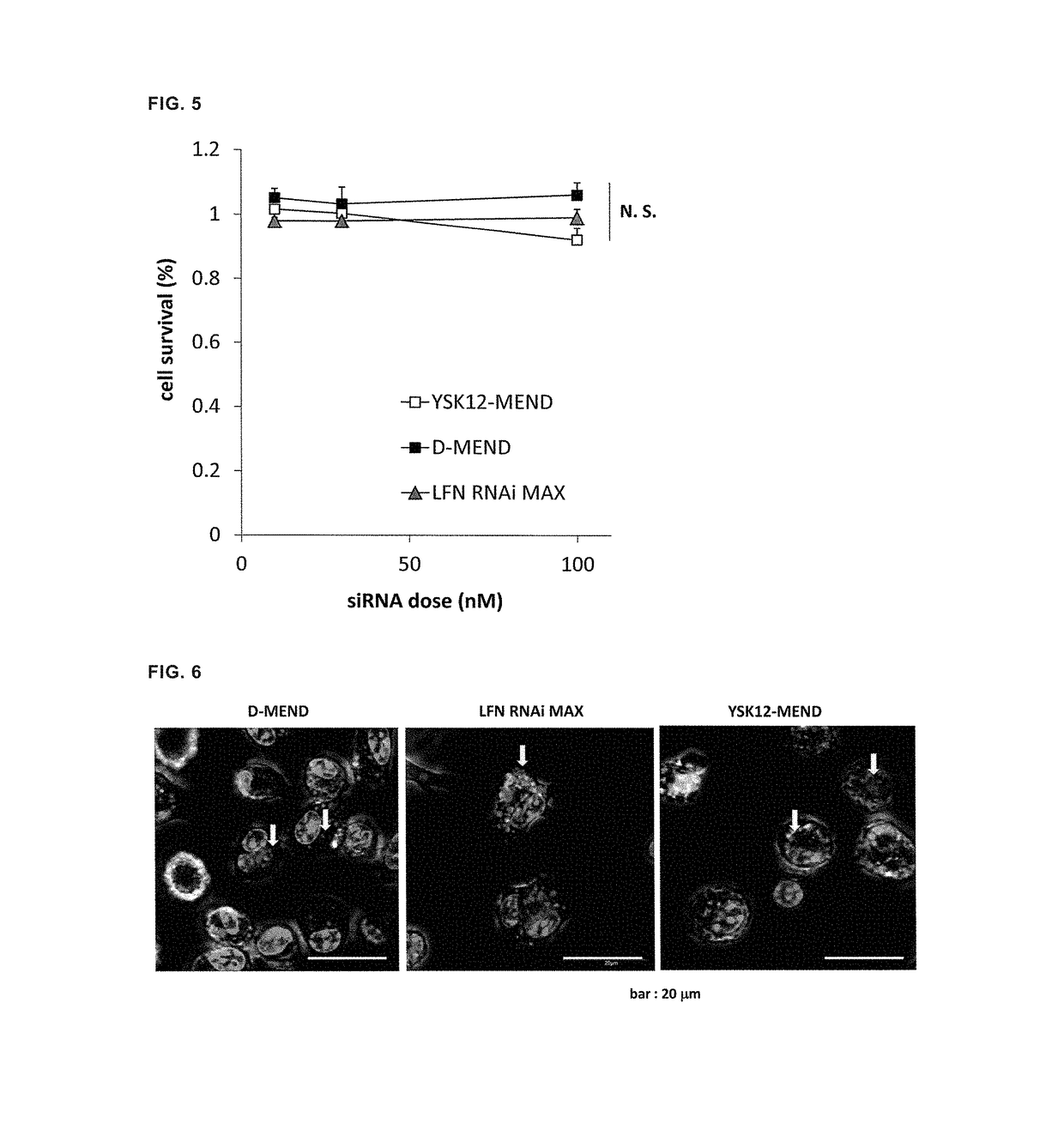 Lipid membrane structure for intracellular delivery of siRNA