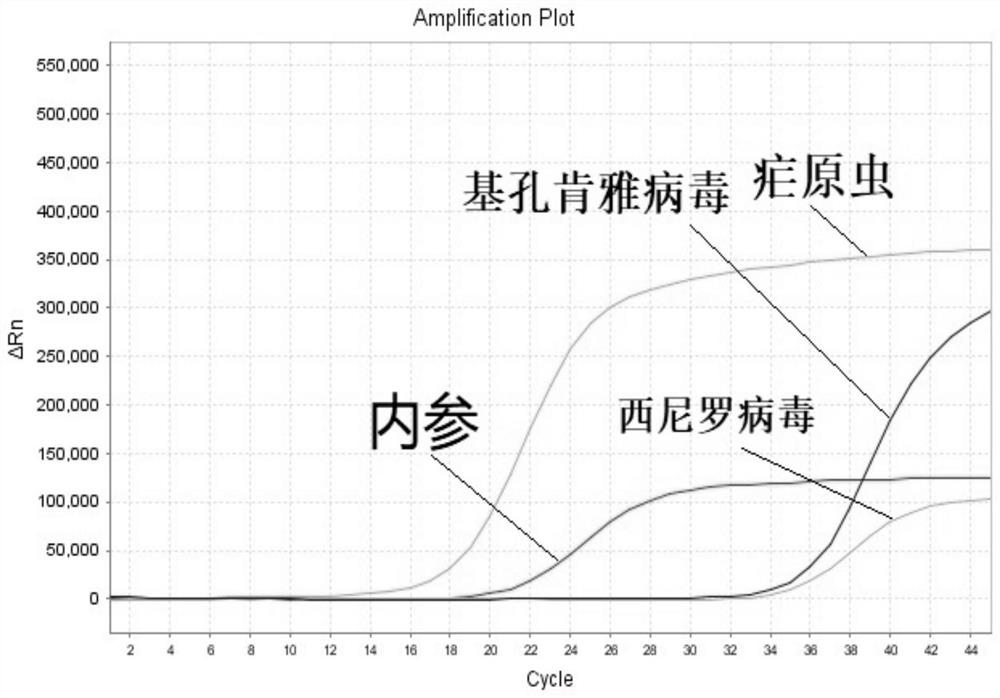 Insect-borne infectious disease pathogen detection kit and application thereof