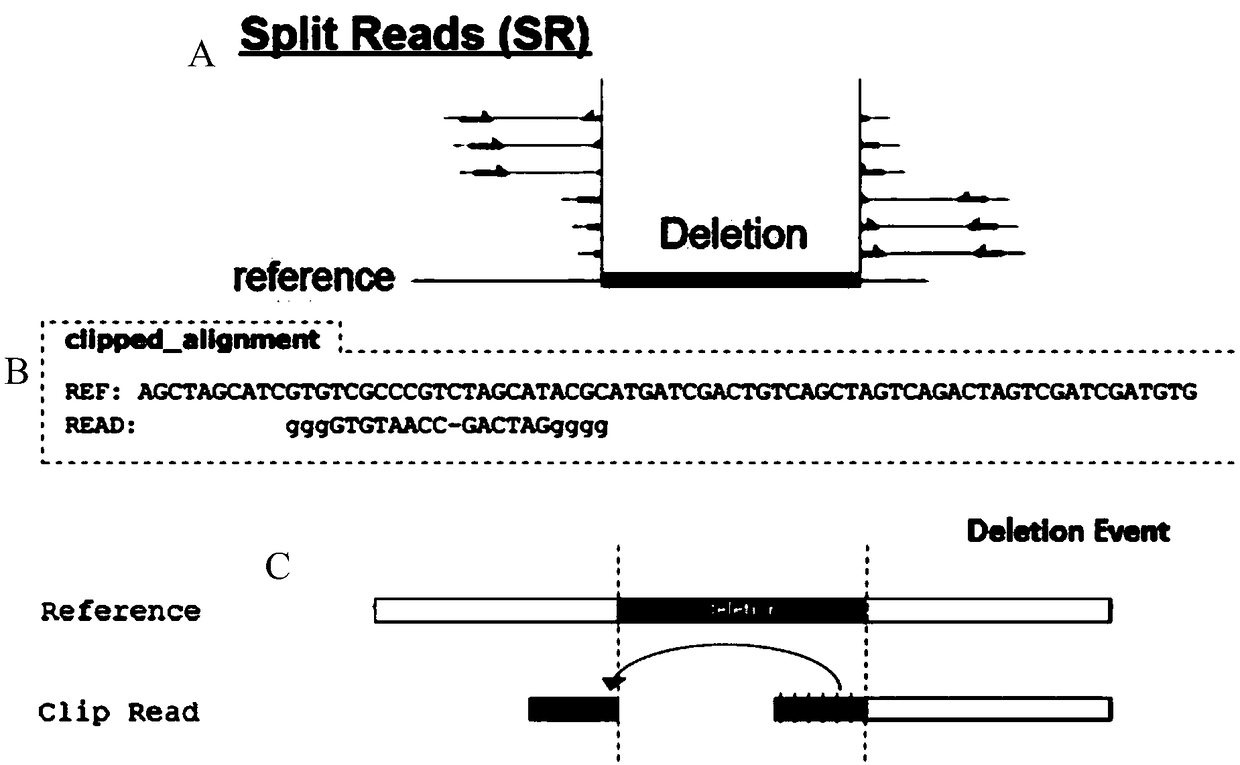 Probe and gene chip for thalassemia detection, preparation method and applications