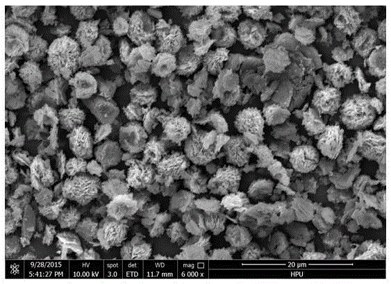 G-C3N4 supported cobalt oxide catalyst and preparation method thereof