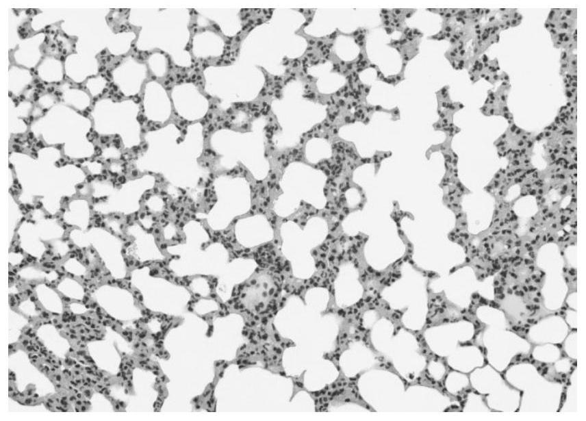 Hydrophobic polysaccharide and its preparation method and application