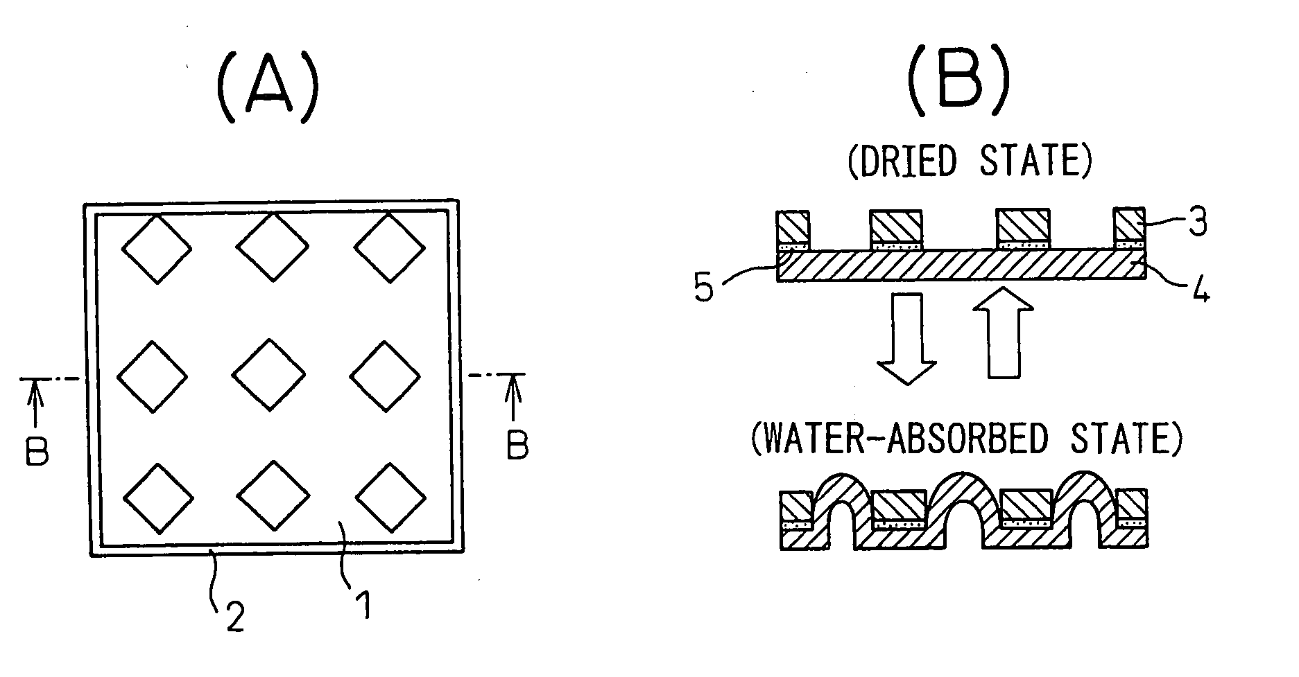 Composite Fabric Material Exhibiting Three-Dimensional Structural Change Upon Water Absorption, and Textile Products