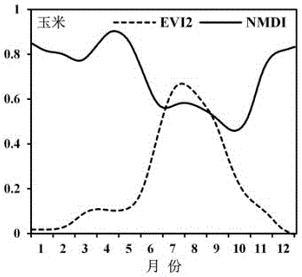 Automatic corn mapping method based on active growth stage NMDI (normalized multi-band drought index) increase and decrease ratio indexes