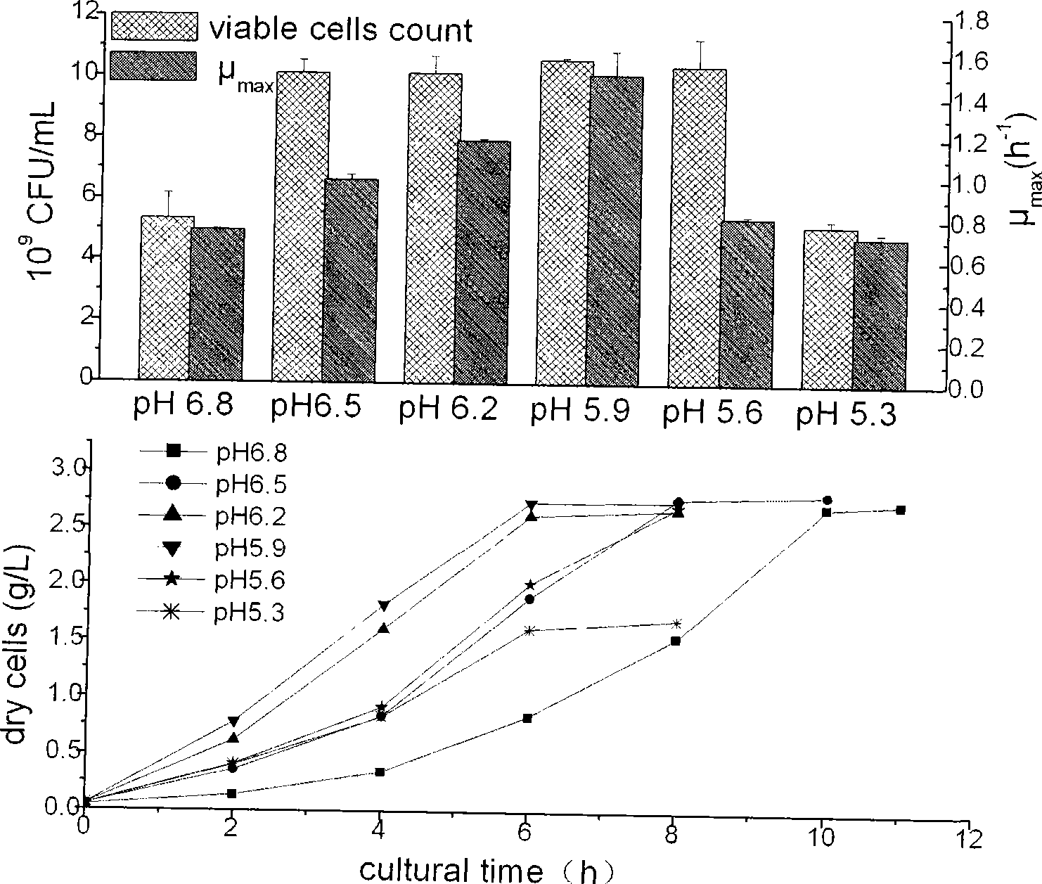 High density culture method of lactobacillus casei Zhang, method for preparing freeze-dried powder by using the same and obtained freeze-dried powder and uses thereof