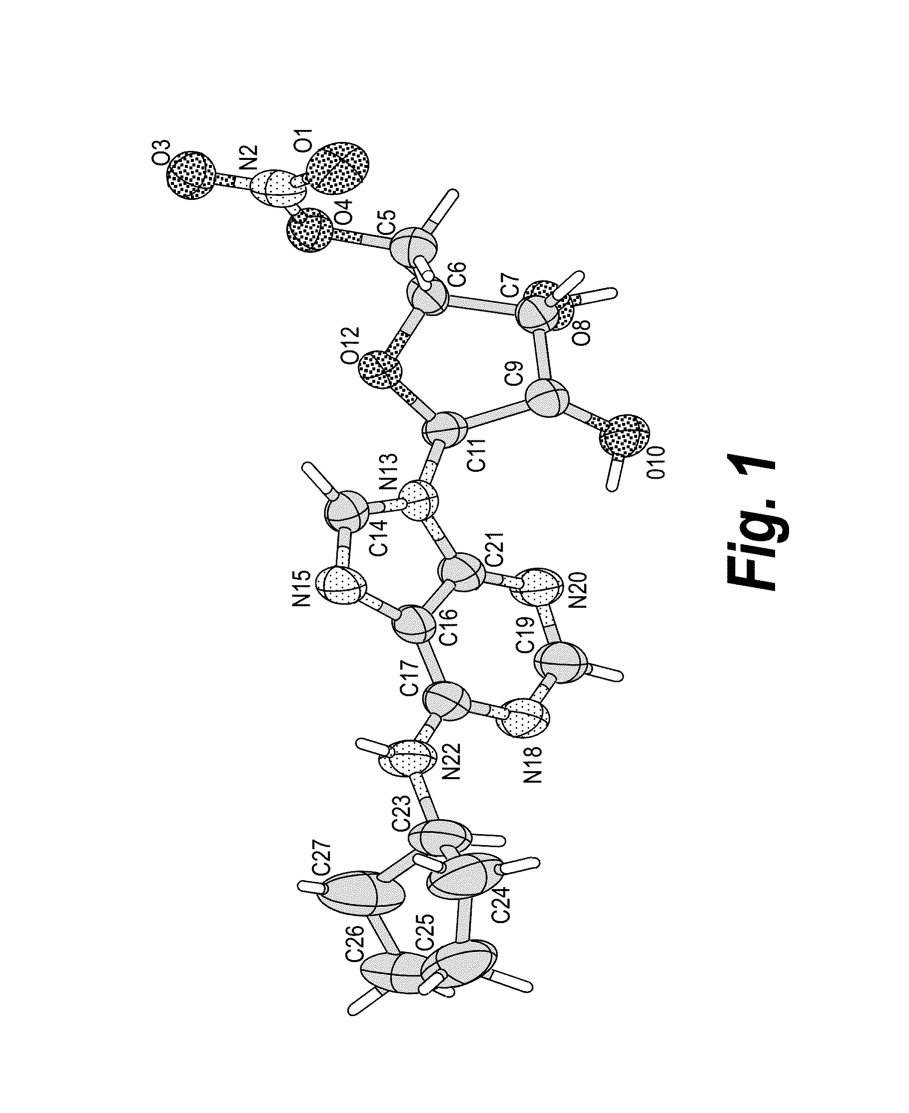 Anhydrous polymorphs of [(2R,3S,4R,5R)-5-(6-(cyclopentylamino)-9H-purin-9-yl)-3,4-dihydroxytetrahydrofuran-2-yl)} methyl nitrate and processes of preparation thereof