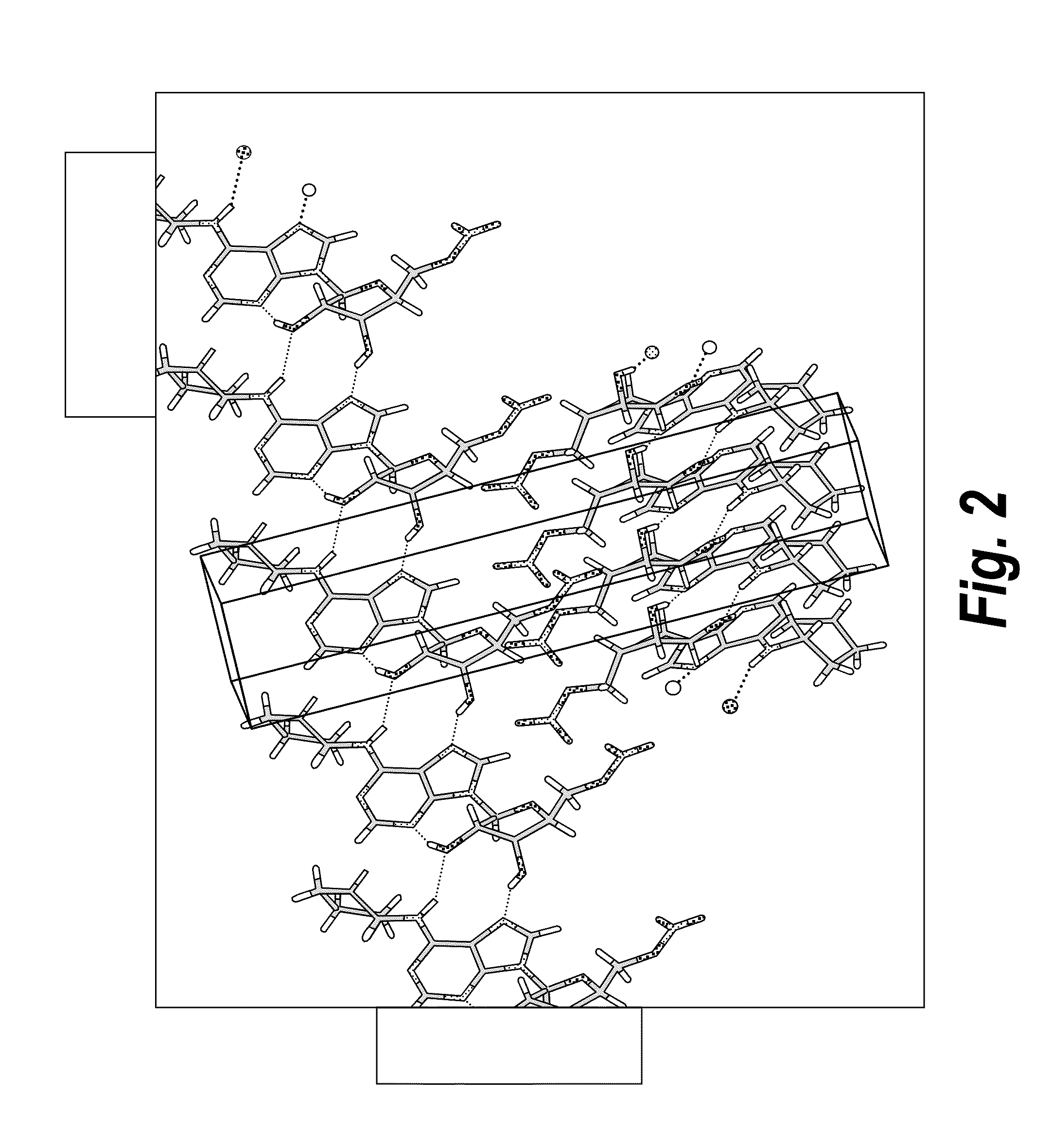 Anhydrous polymorphs of [(2R,3S,4R,5R)-5-(6-(cyclopentylamino)-9H-purin-9-yl)-3,4-dihydroxytetrahydrofuran-2-yl)} methyl nitrate and processes of preparation thereof