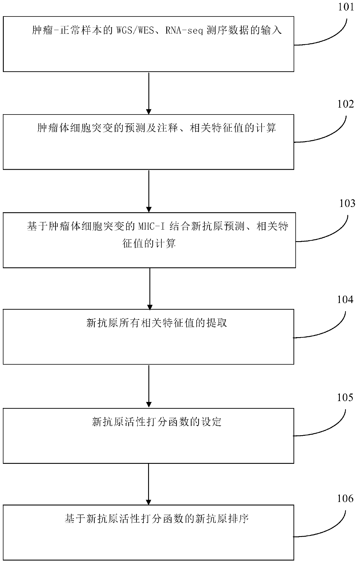 Neoantigen Activity Prediction and Ranking Method Based on Tumor Neoantigen Characteristic Value