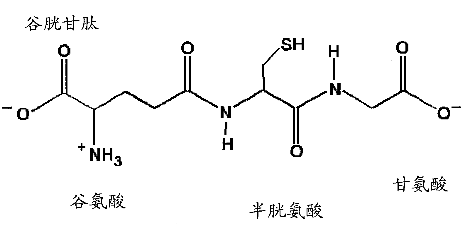 N-acetyl cysteine compositions and methods to improved the therapeutic efficacy of acetaminophen