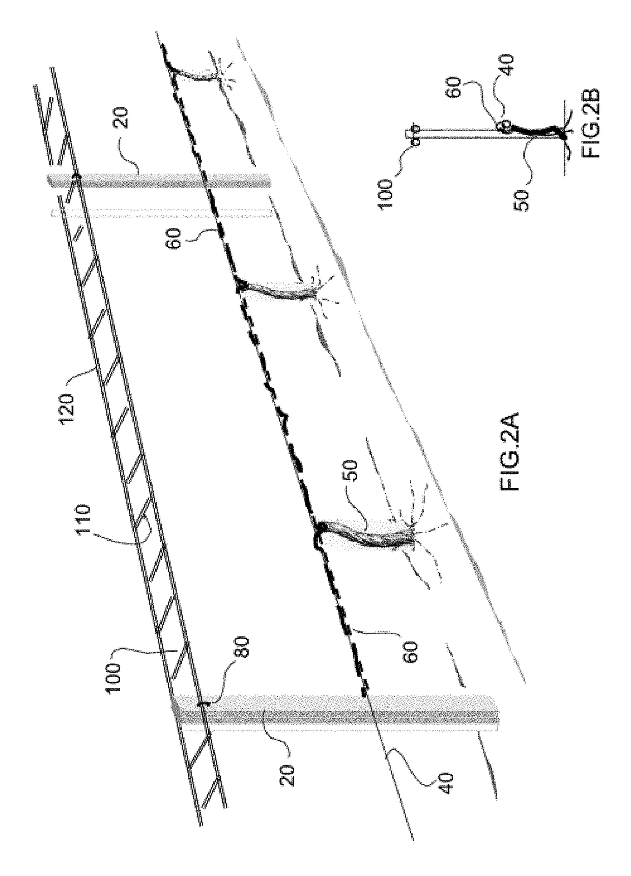 Grid shoot positioning system for grape vines