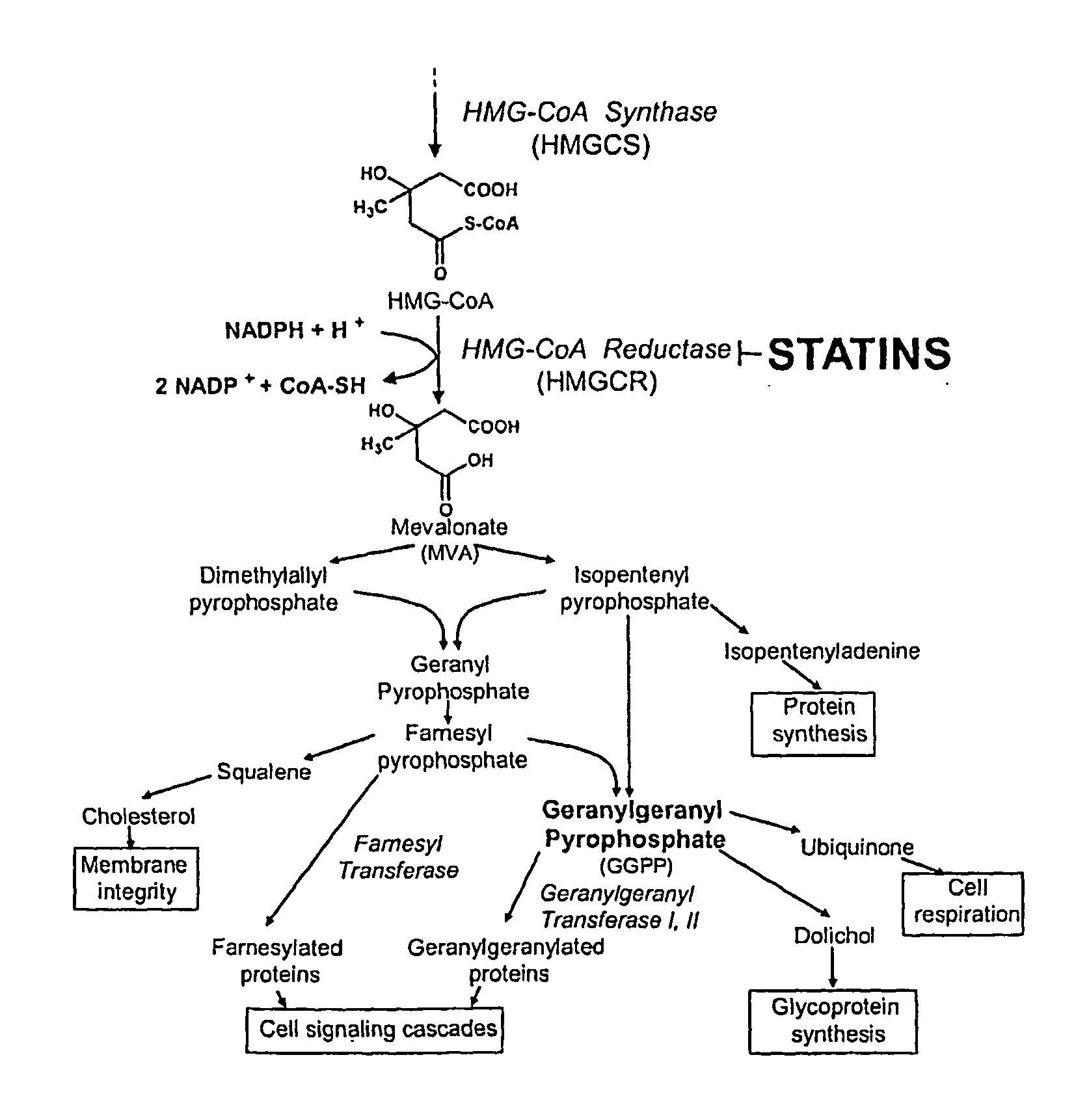 Treating cancer with statins and compounds having dipyridamole activity