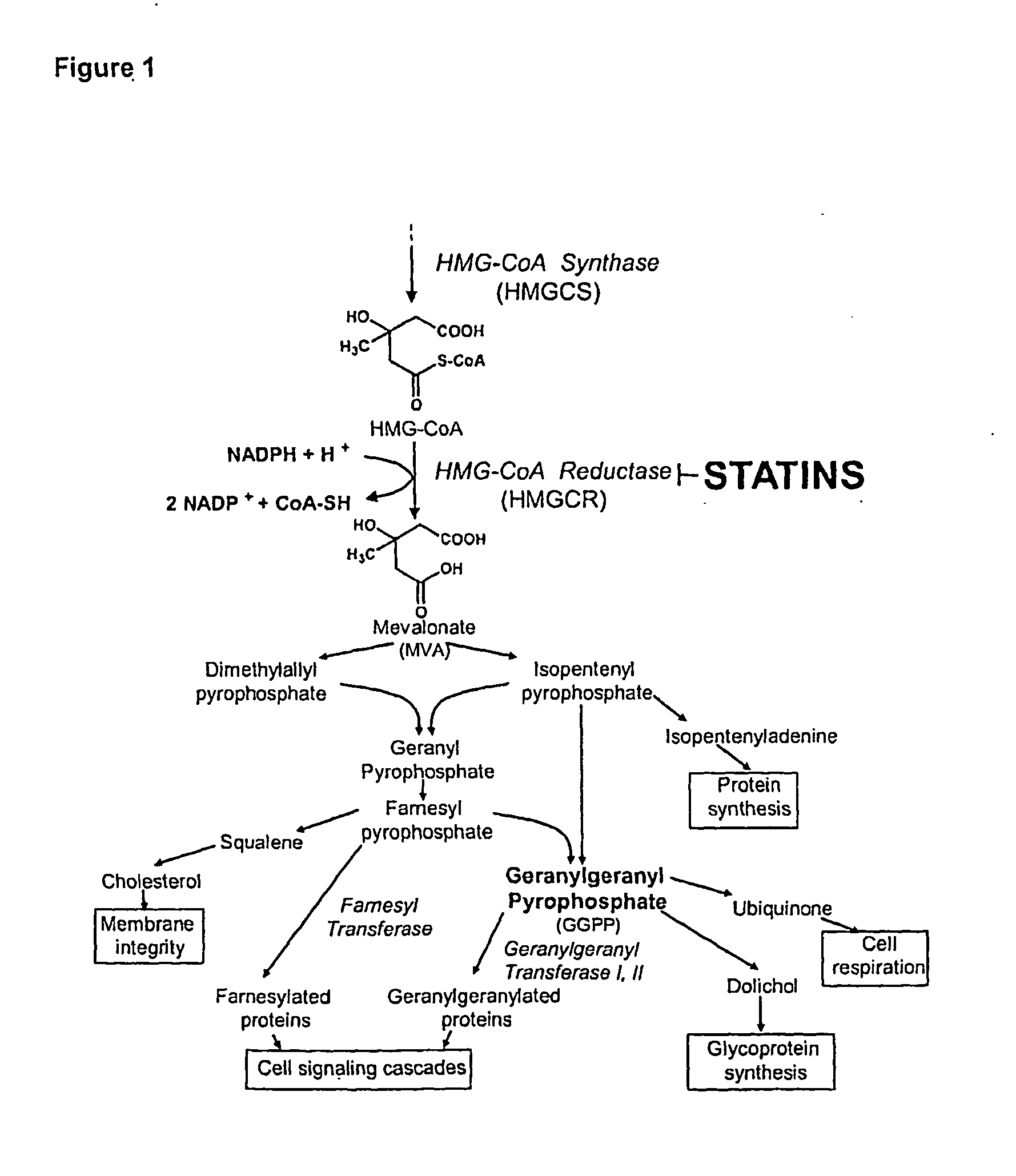 Treating cancer with statins and compounds having dipyridamole activity