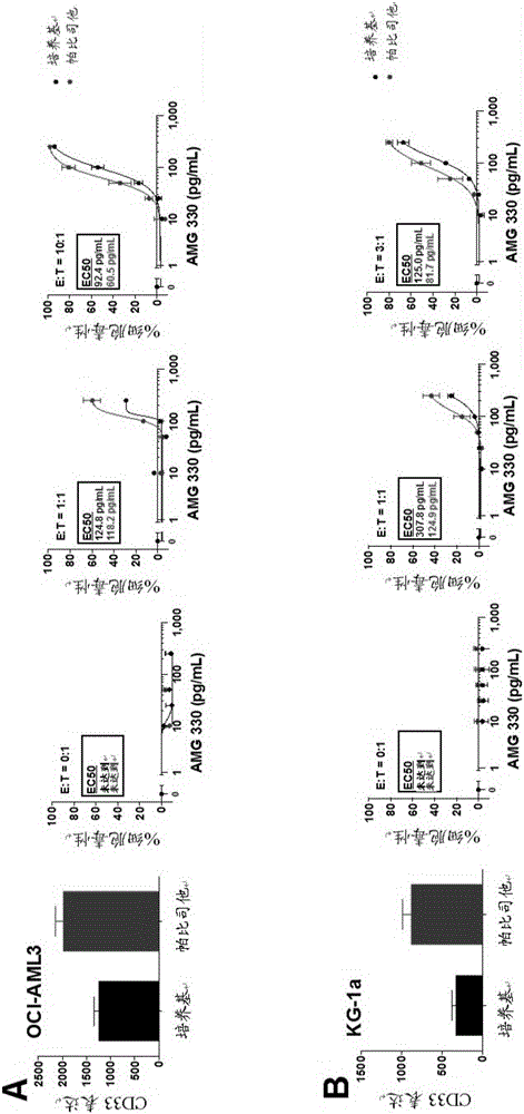 Combination of epigenetic factors and bispecific compounds targeting CD33 and CD3 in the treatment of myeloid leukemia