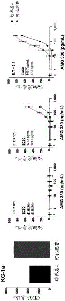 Combination of epigenetic factors and bispecific compounds targeting CD33 and CD3 in the treatment of myeloid leukemia