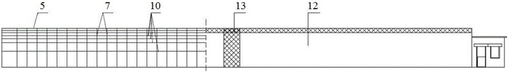 High yield and high efficiency cultivating method for fig in greenhouse