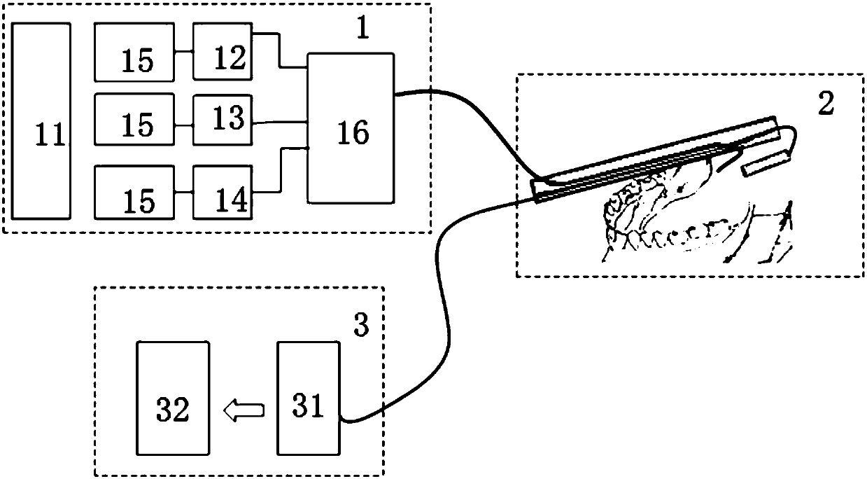 Oral soft tissue metabolism monitoring system and method