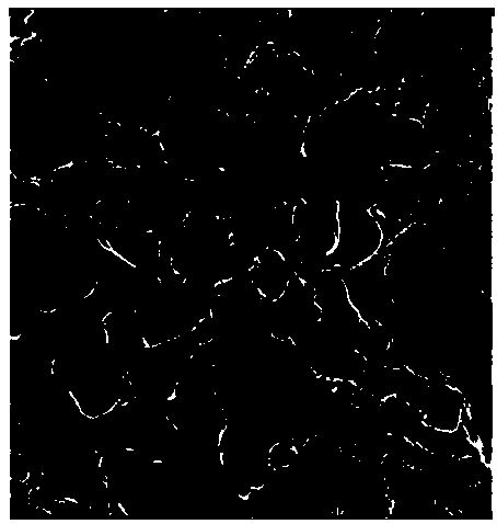 Preparation method of high strength-hyper reactivity iron containing coke