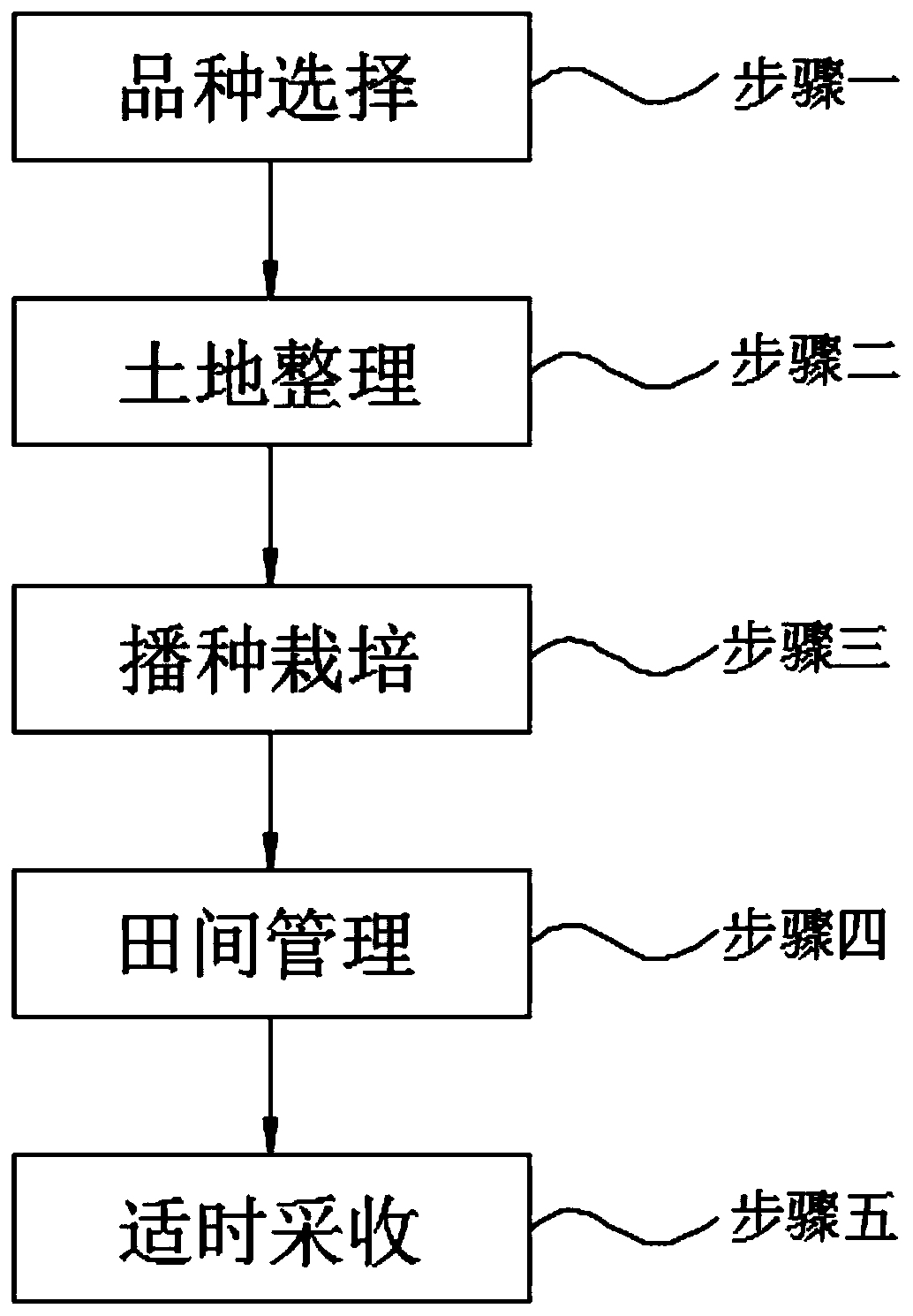 Culture method for potato water-saving and drought-resistance culture