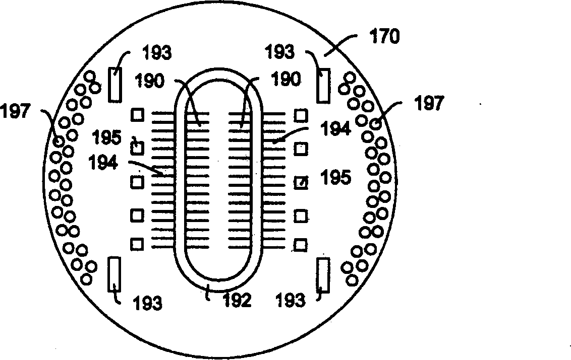 Contact structure member and production method thereof, and probe contact assembly using said contact structure member