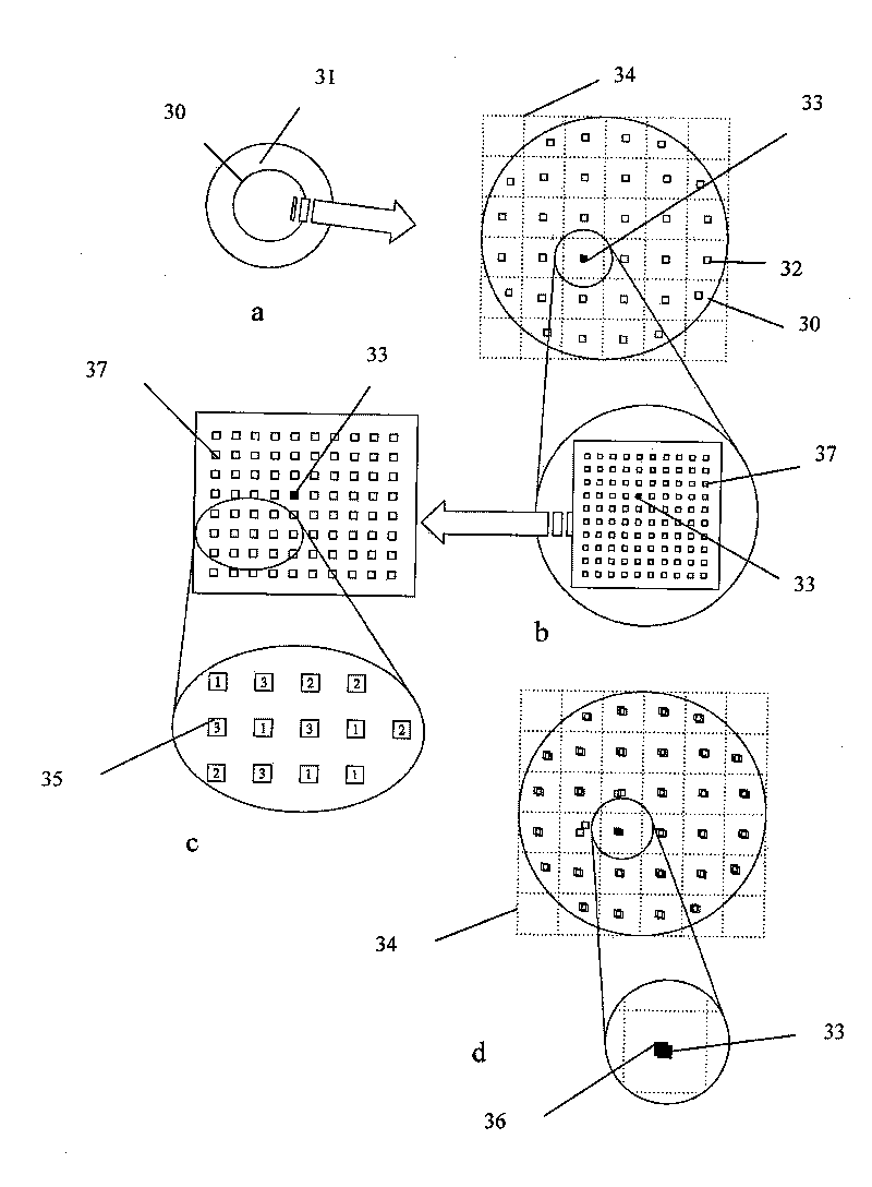 Method for picking model type crystal particle