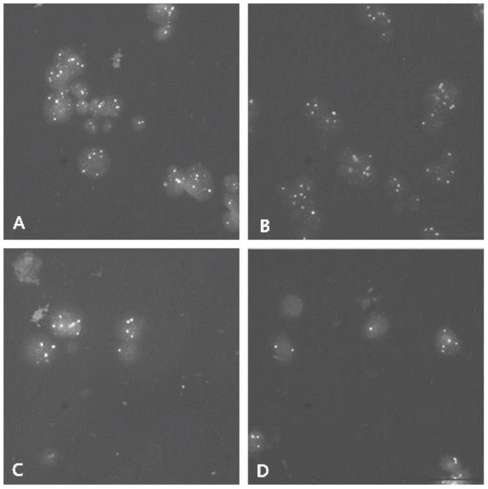 Quality control sample for detecting breast cancer and preparation method of quality control sample